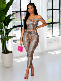 Snake-Print Off-Shoulder Top & Pants Set