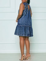 Tied Ruffle Denim Dress