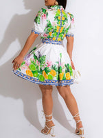 Printed Pleated Shirt Dress