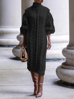 Turtleneck Knit Dress